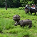 Chitwan 2 Nights 3 Days Jungle