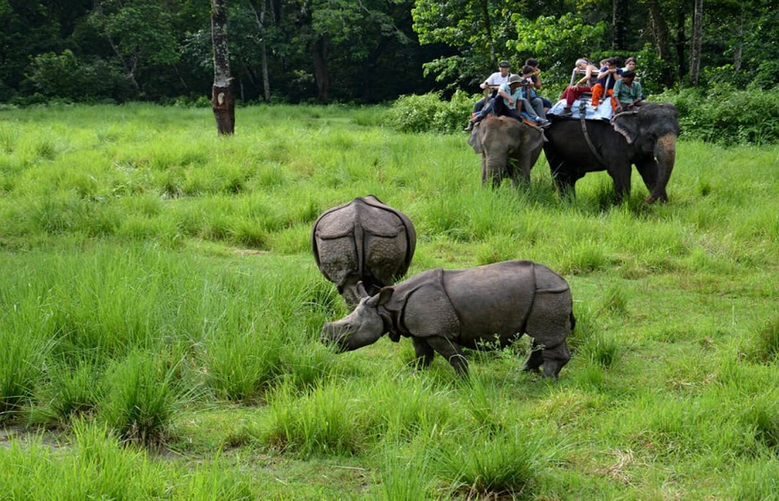Chitwan 2 Nights 3 Days Jungle